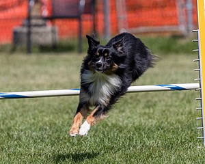 20200819-2177.jpg
