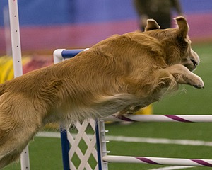 20150321-LEAP-0330.jpg