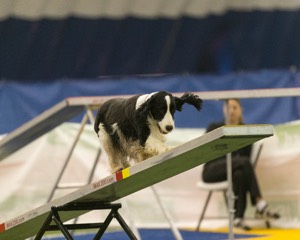 20150321-LEAP-1428.jpg