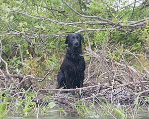 20080531-HRW-0496.jpg