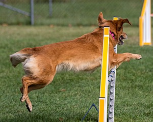 20200819-0519.jpg