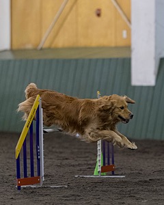 Pup-Pup Beaulieu