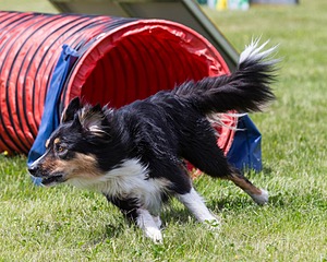 20160514-NEAT-0696.jpg