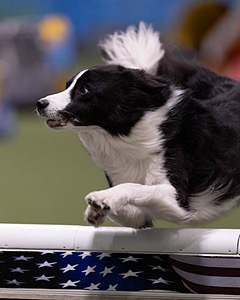 20260221-0094.jpg