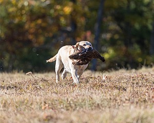 20201011-WCL-0005.jpg