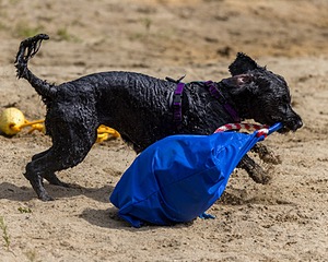 Diamond Nelson