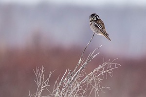 20230201-0070.jpg