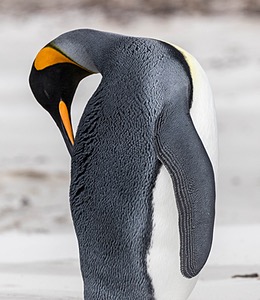 20191210-0284.jpg