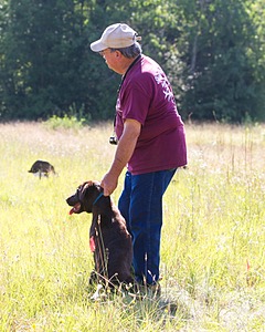 Dixie decamp