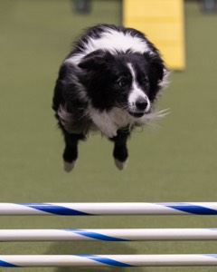 Breeze Schunk