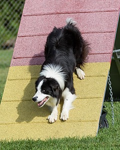 20200819-0354.jpg