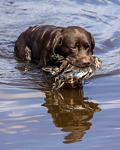 Duncan Abbott