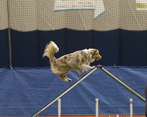 20150321-LEAP-0773.jpg
