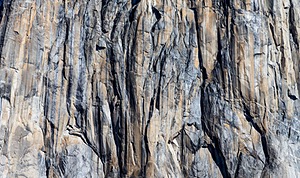 20170211-0113.jpg