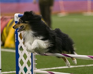 20150321-LEAP-0342.jpg