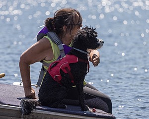 Mizzen Kutner