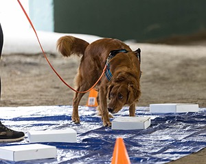 20260718-NSKC-0173.jpg