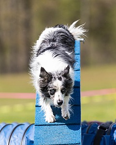 20160514-NEAT-1028.jpg