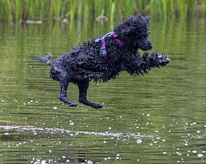 20210912-MWD-0084.jpg