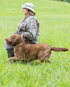 Hunter Law
