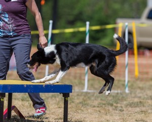 20160619-CCKC-1350.jpg