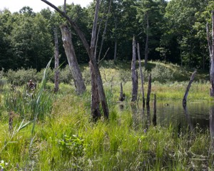 20140810-C-0057.jpg
