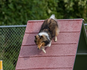 20200819-0149.jpg