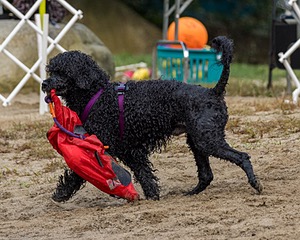 20210912-MWD-0123.jpg