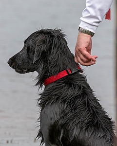 Cooper Westcot