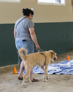 20260718-NSKC-0129.jpg