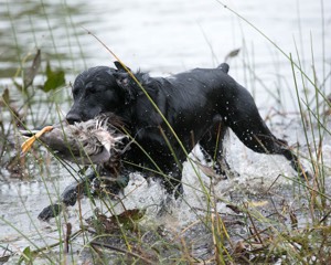 20141004-WCXW-0461.jpg