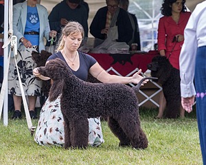 24 - POOLE'S IDE MODERN LOVE CGC (Remi)