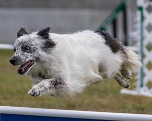 20230917-PVKC-3124.jpg