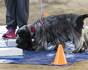 20260718-NSKC-0186.jpg