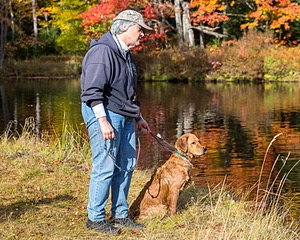 Marsha Wilcox's Pete