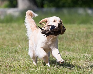 20130601-SHRL-0418.jpg