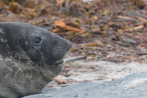 20191217-0687.jpg