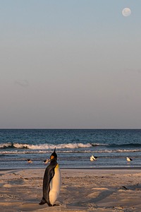 20191210-0695.jpg