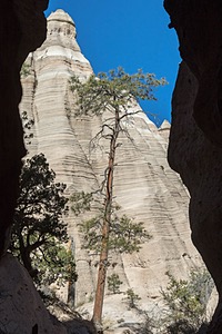 20151205-0320.jpg