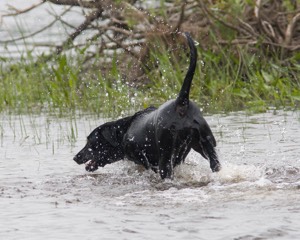 20080531-HRW-0801.jpg