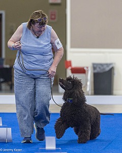 R15 - GCH CH LANDACRE'S NORDIC SAILOR DN CGC TKI