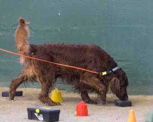20260718-NSKC-0704.jpg