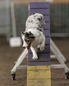 20260613-CCM-0709.jpg