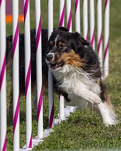 20230916-PVKC-1387.jpg