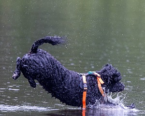 Rio Abbruzzese