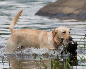 20080601-SRW-0632.jpg