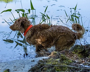 20220604-SHW-2447.jpg