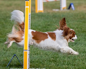 20200819-0105.jpg