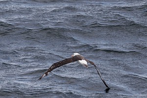 20260325-0054.jpg