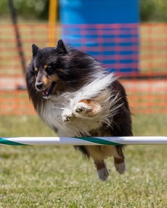 20180616-1244.jpg